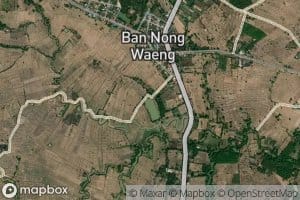 Nong Wang