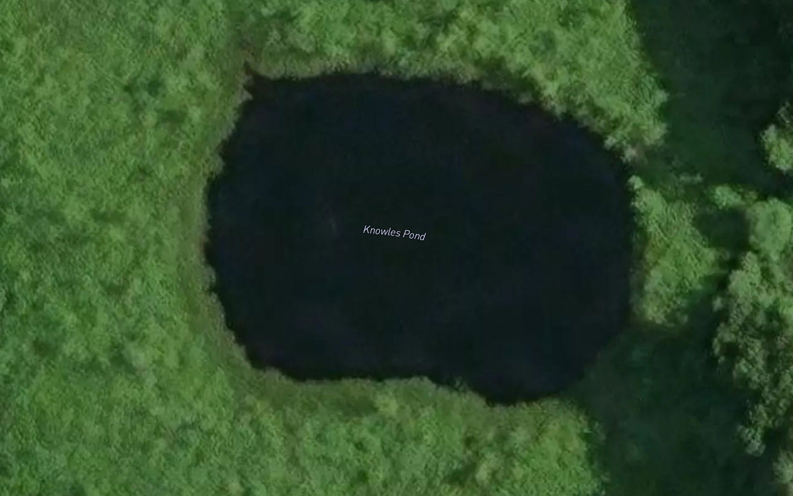 Knowles Pond
