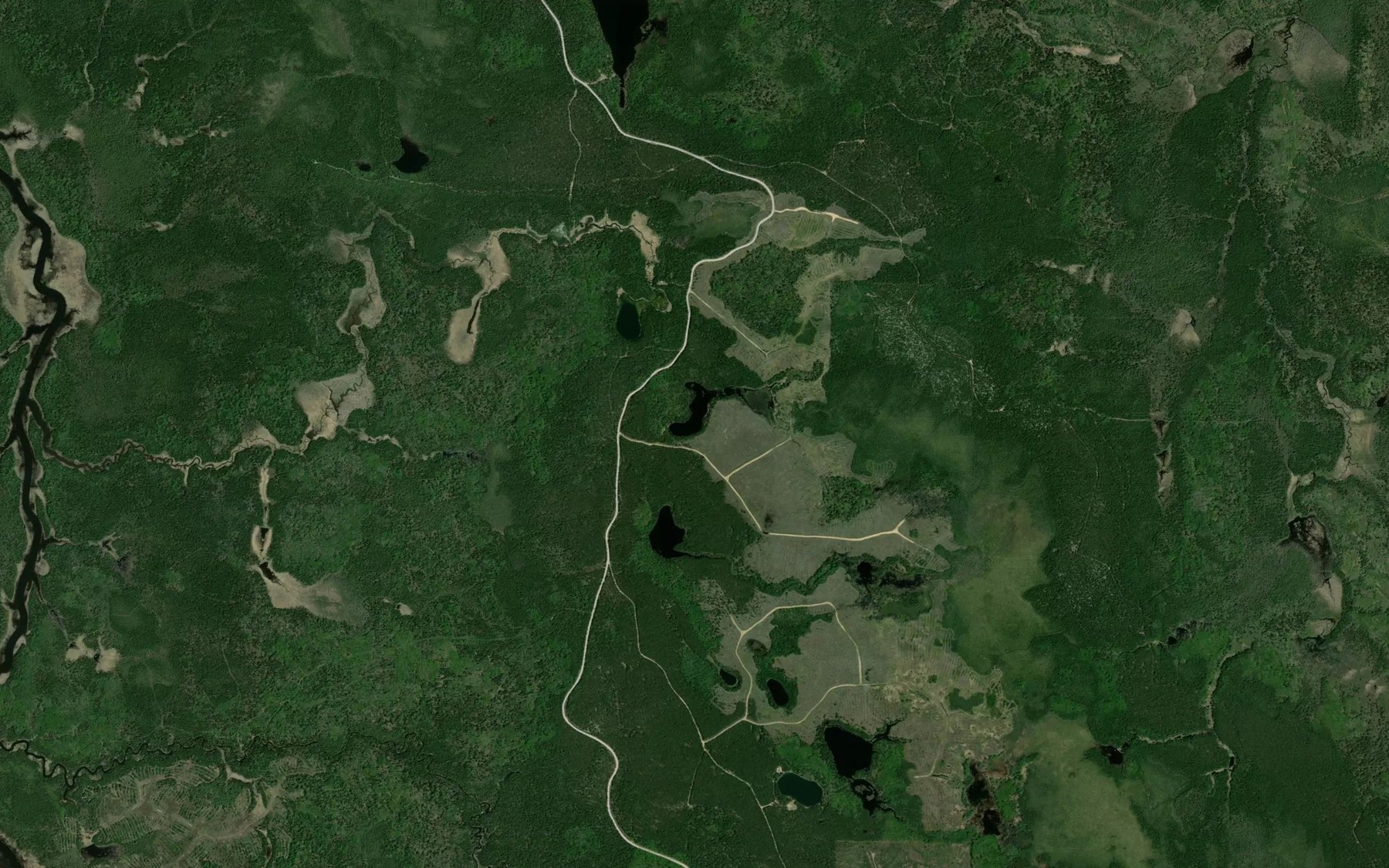 Satellite map of the Horn Lake