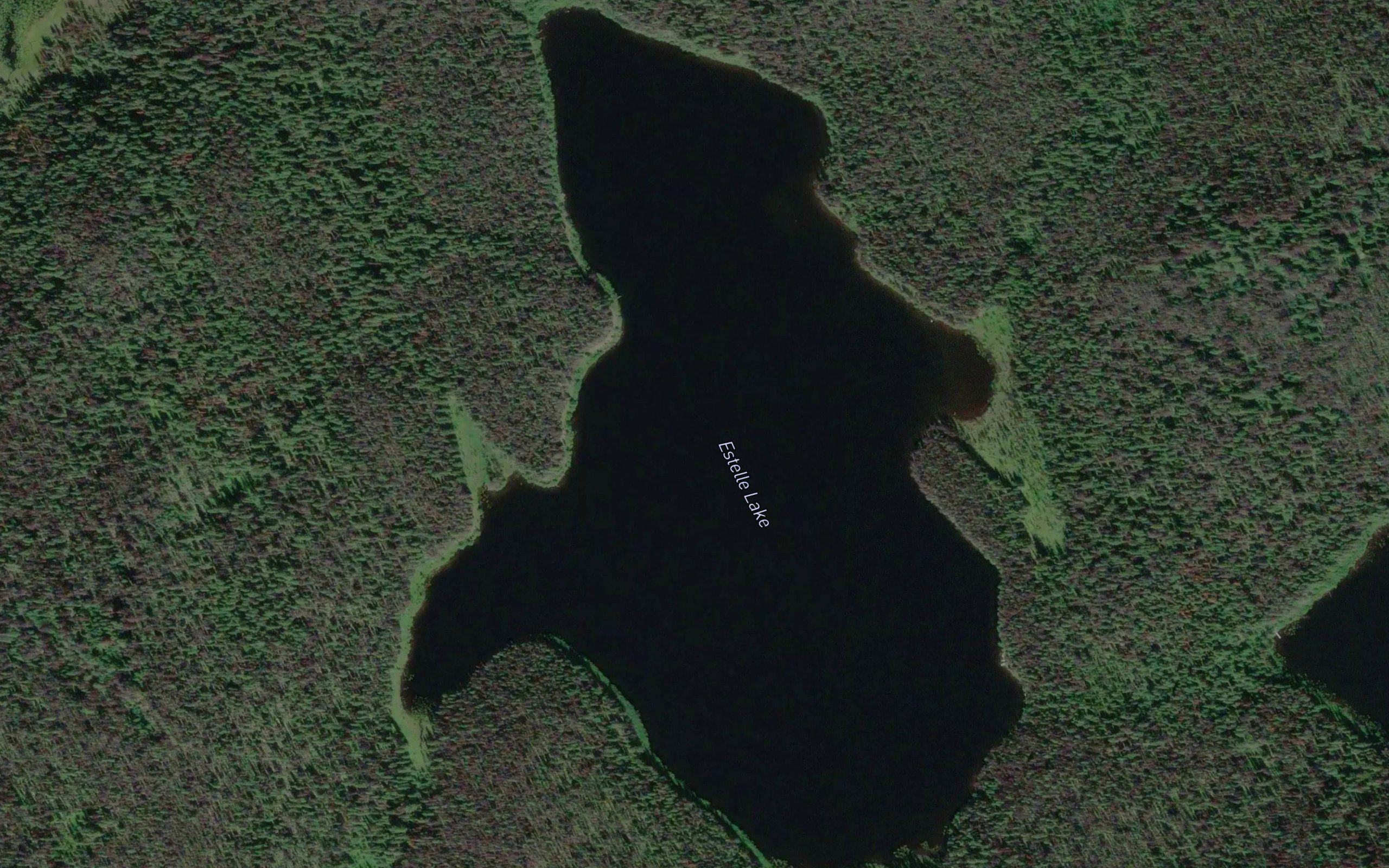 Estelle Lake