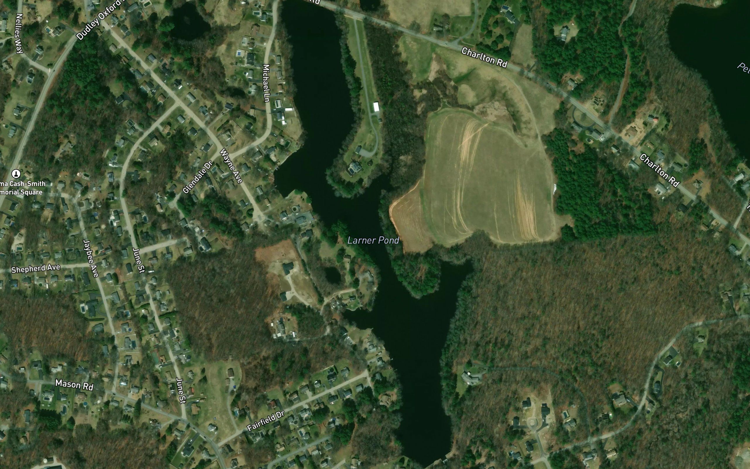 Larner Pond