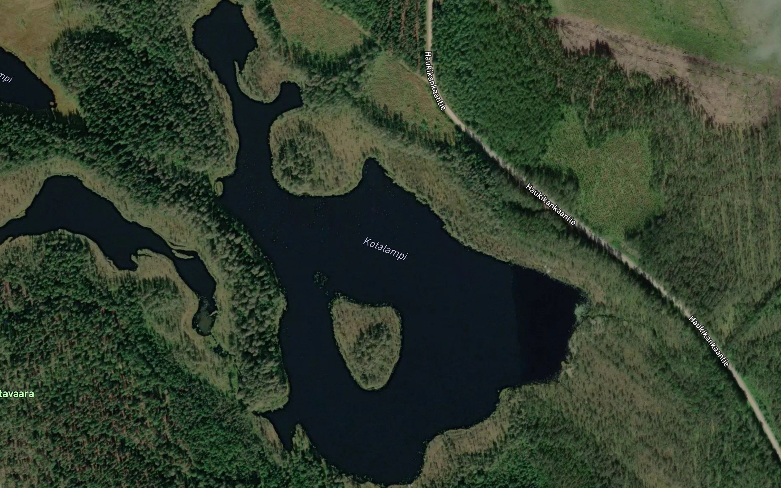 Kotalampi