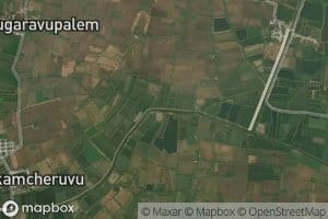 Gedalakodu Branch Channel