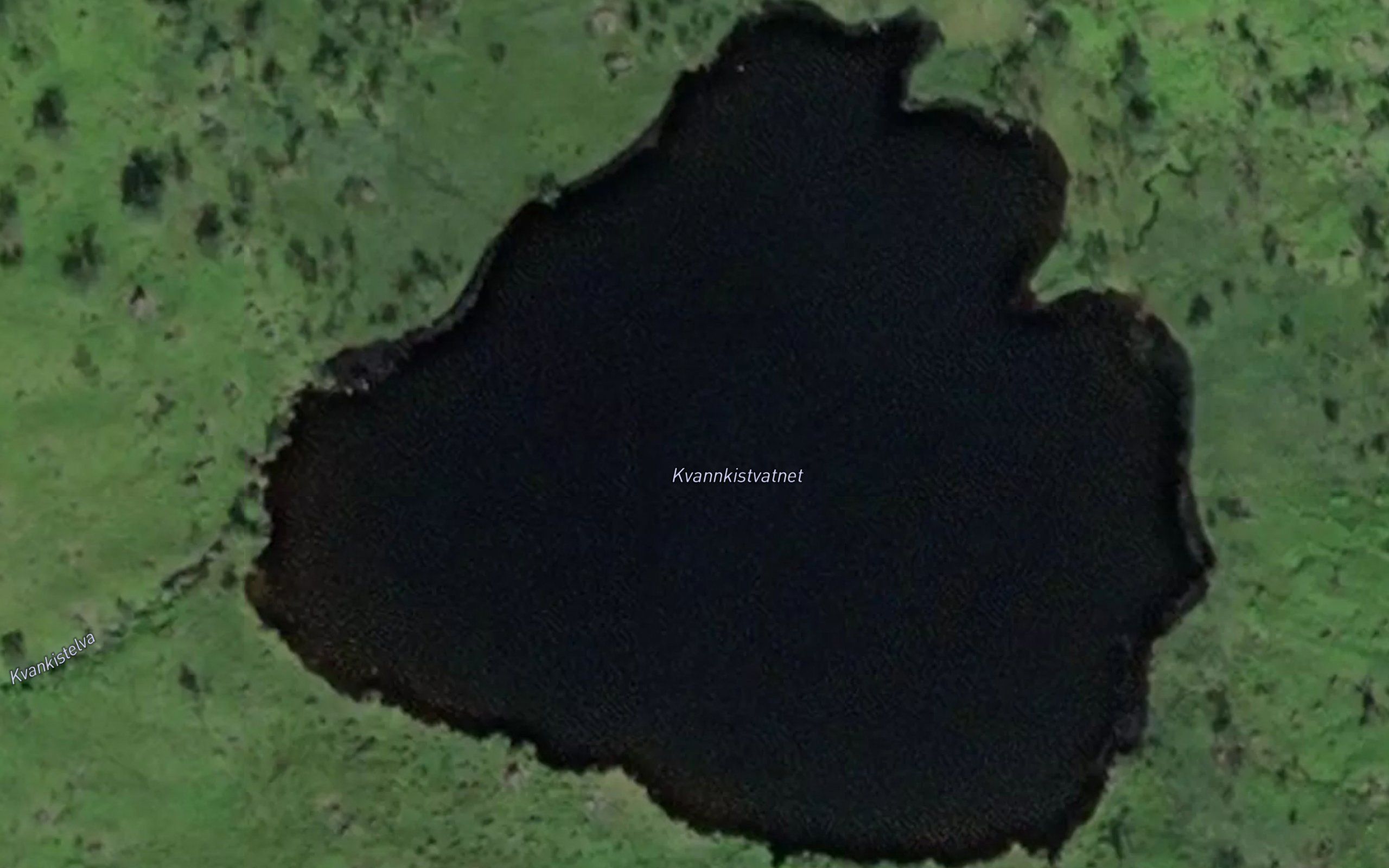 Kvannkista
