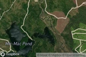 Dorr Meadow Brook