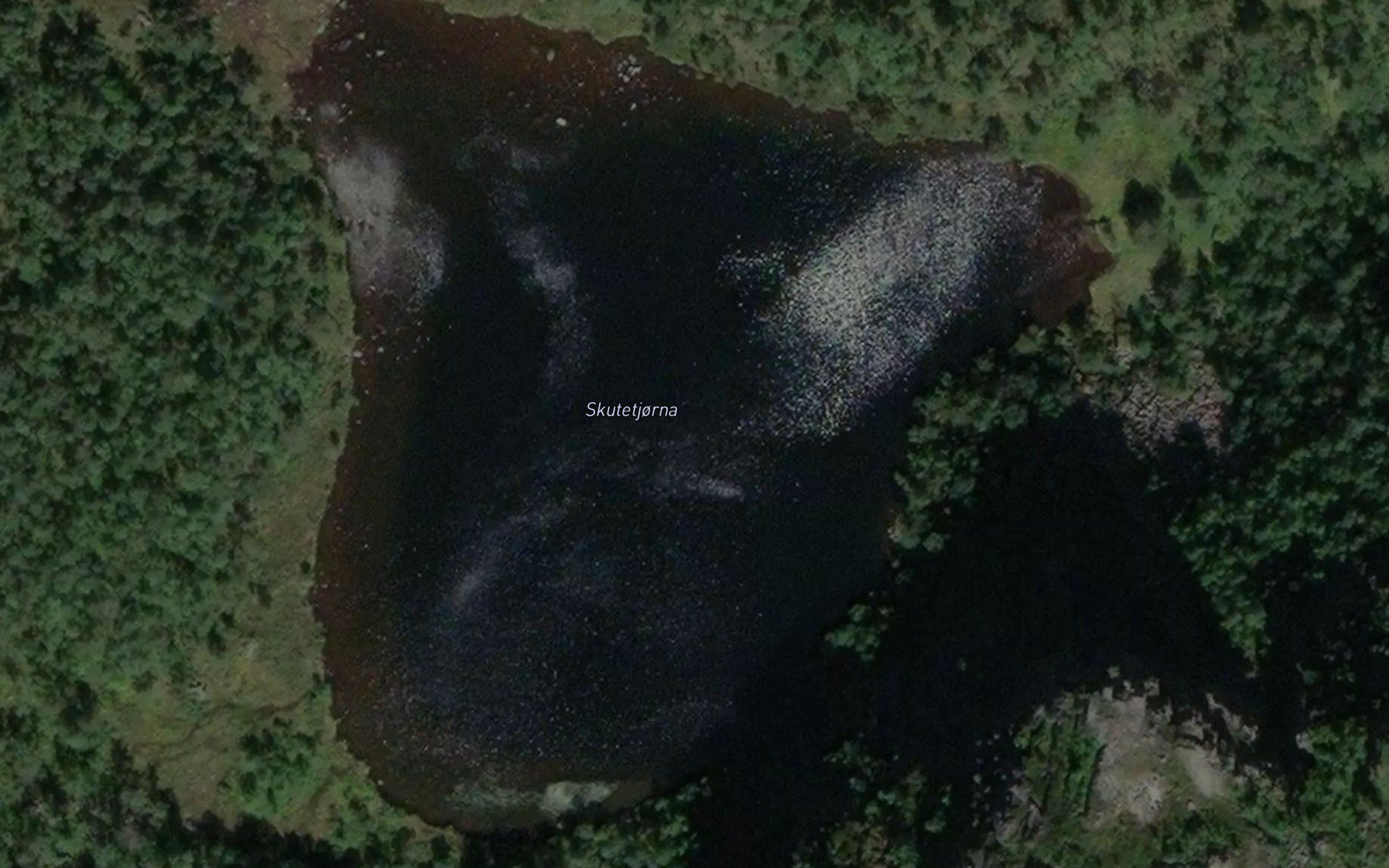 Skudetjorn