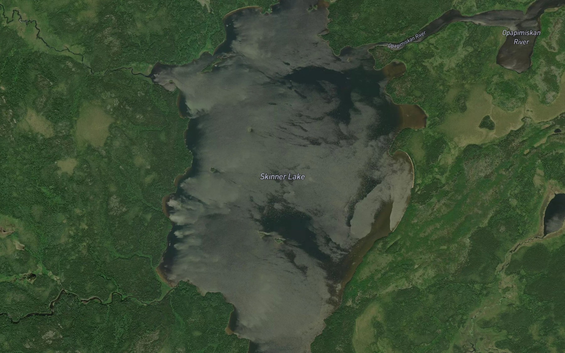 Satellite map of the Skinner Lake