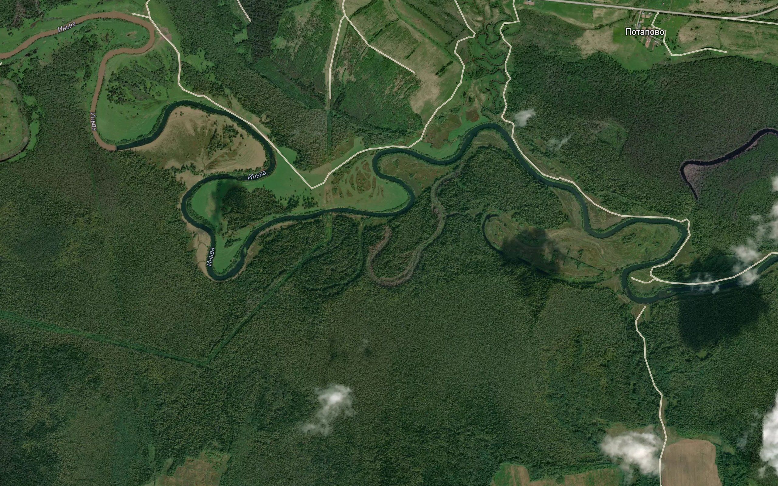 Vezhashor
