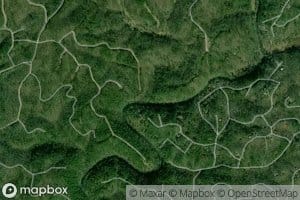Gunstock Branch