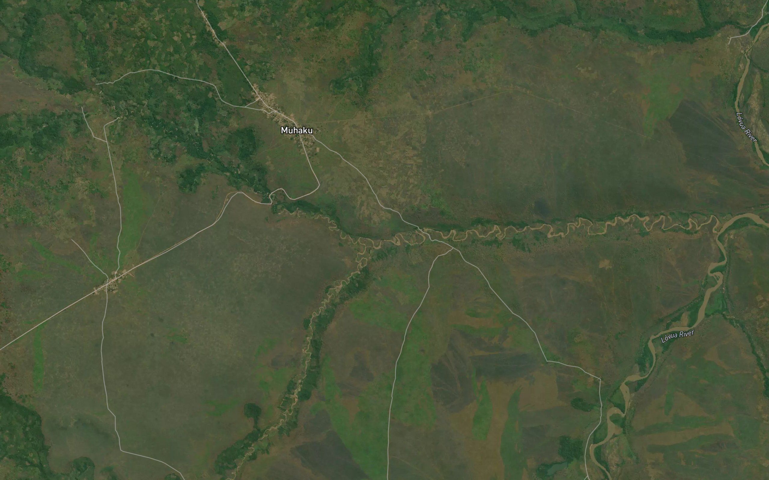 Kenga