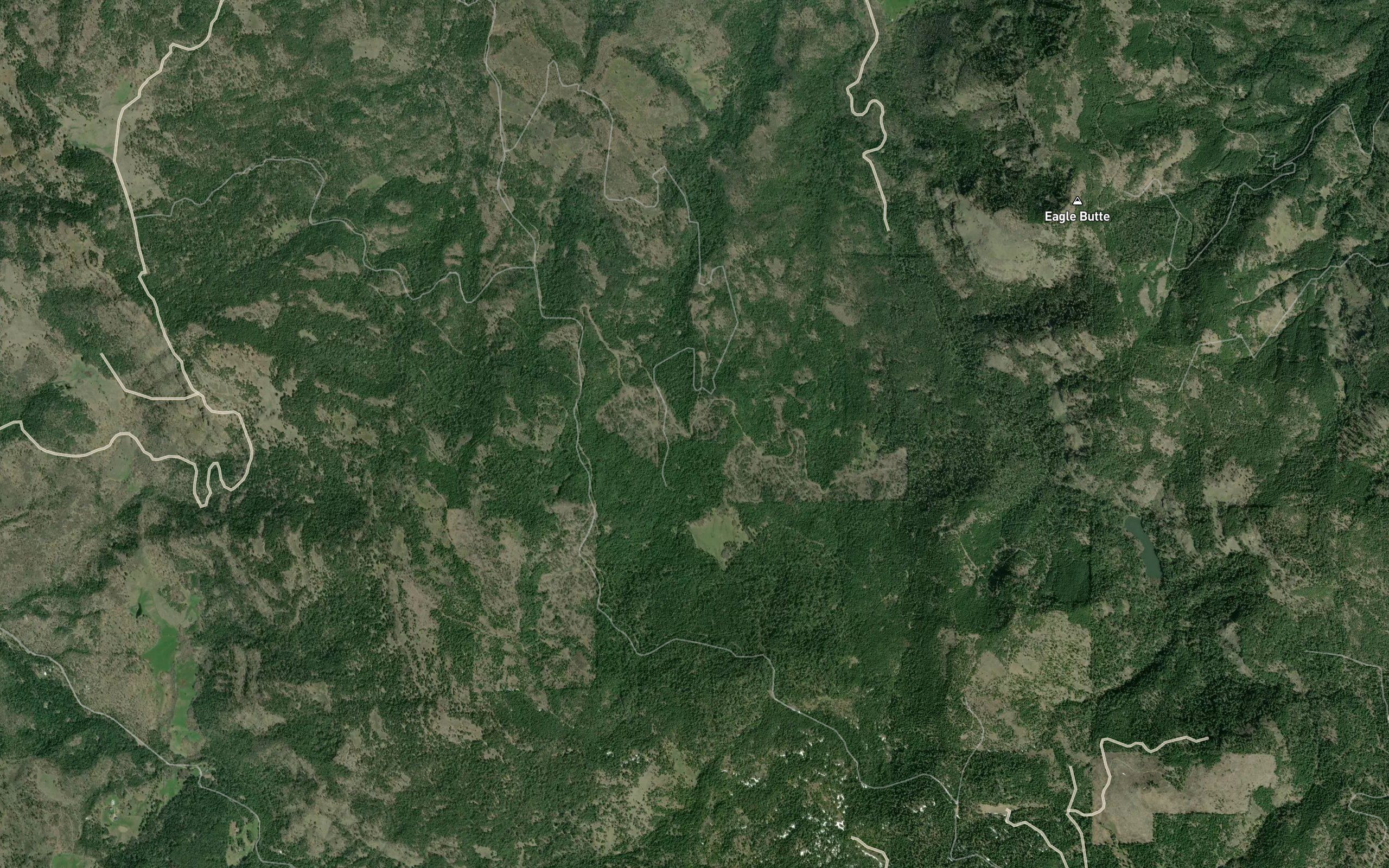 Cold Spring Creek