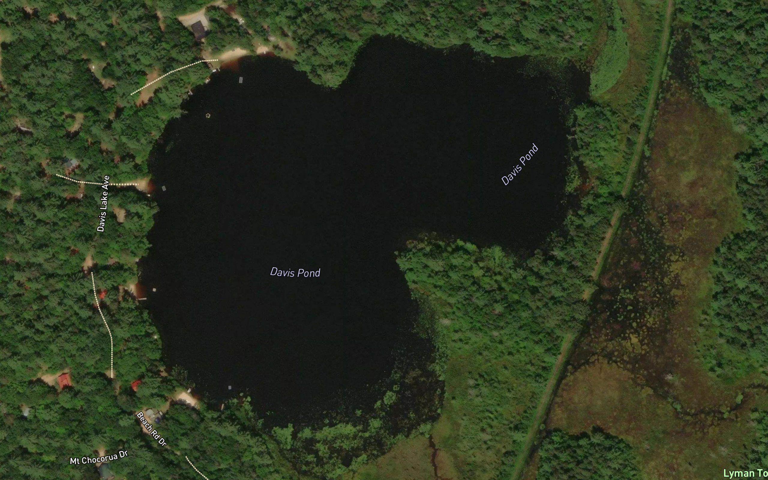 Davis Pond