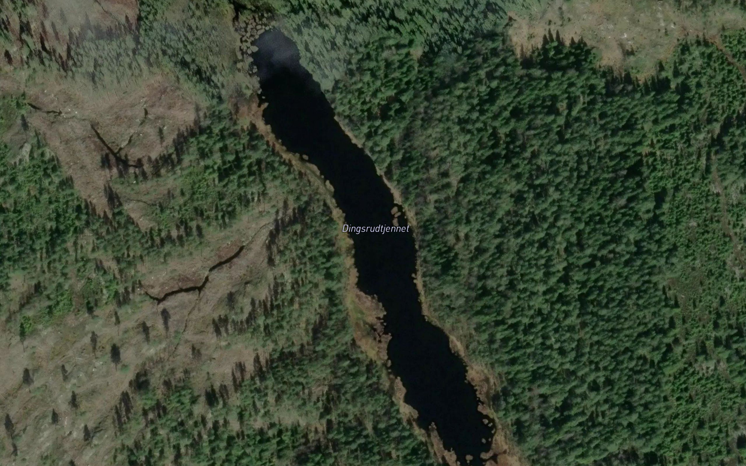 Dingsrudtjernet