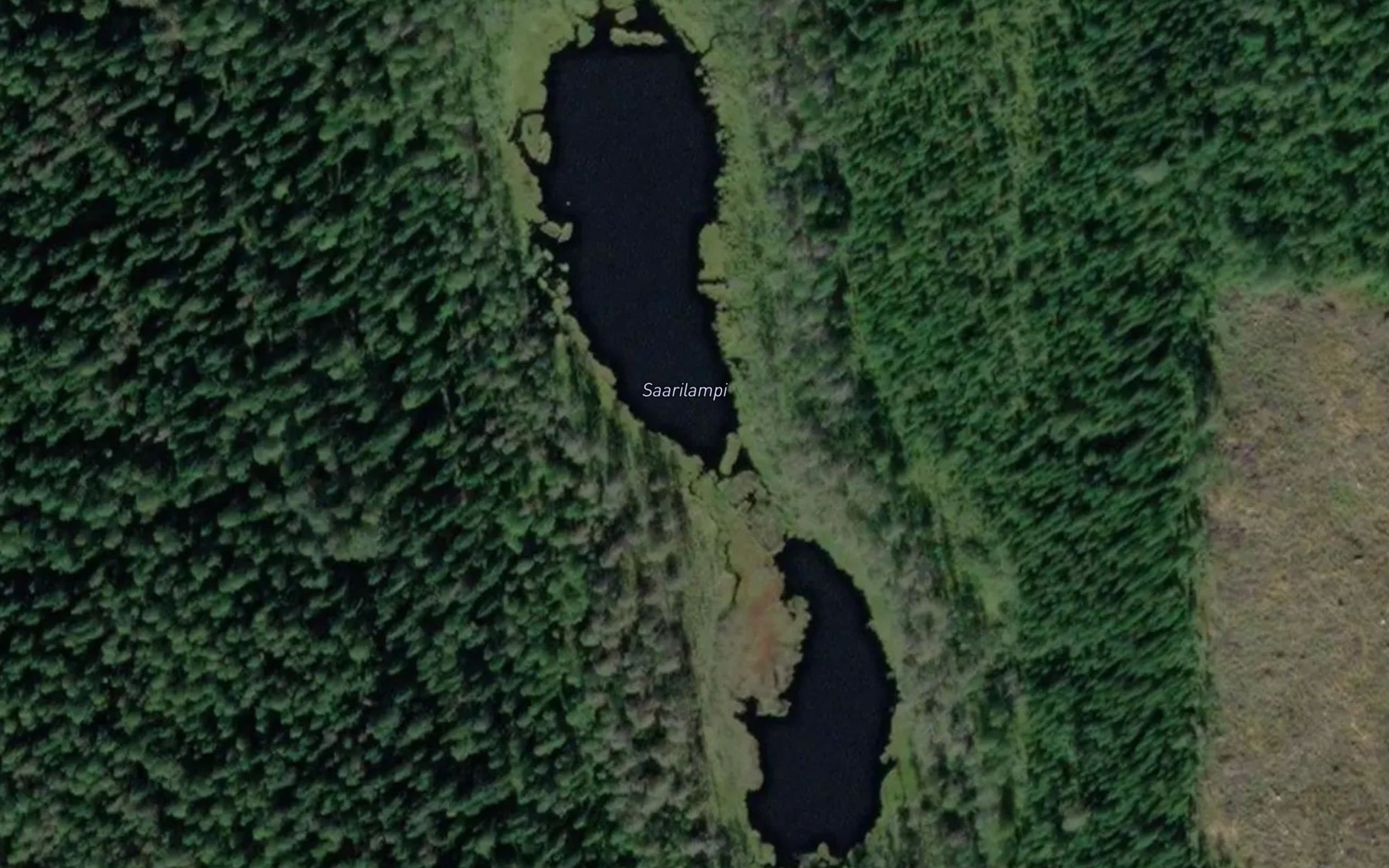 Satellite map of the Saarilampi