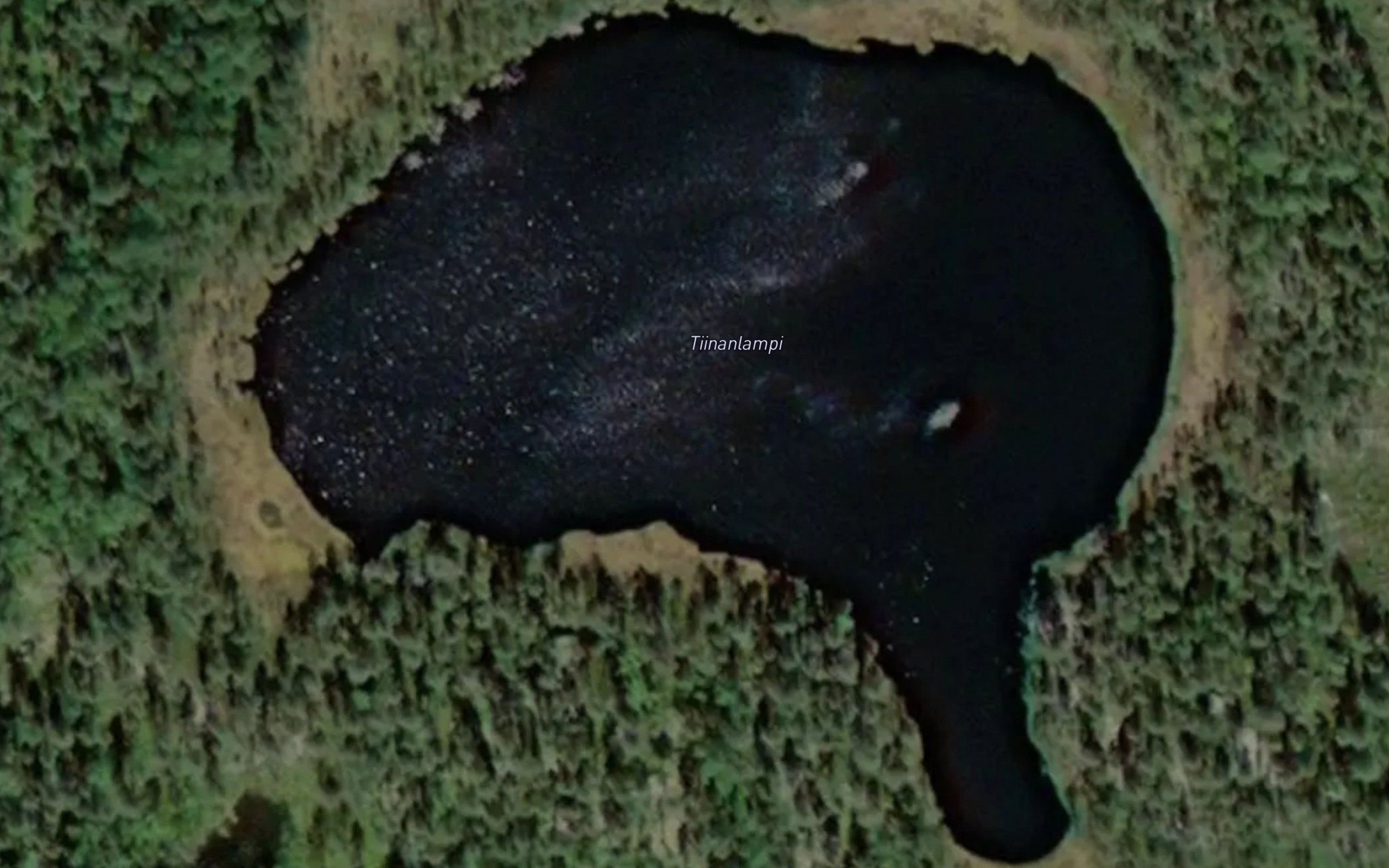Tiinanlampi