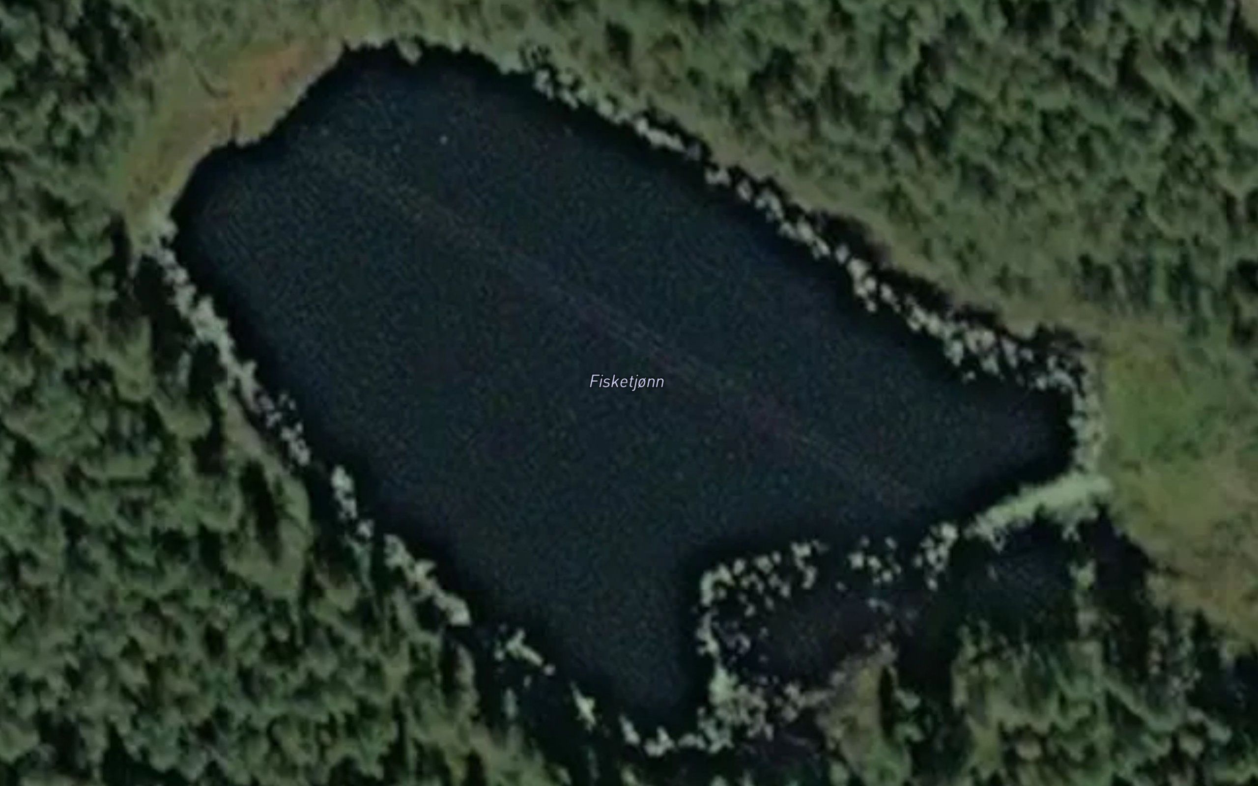 Fisketjonn