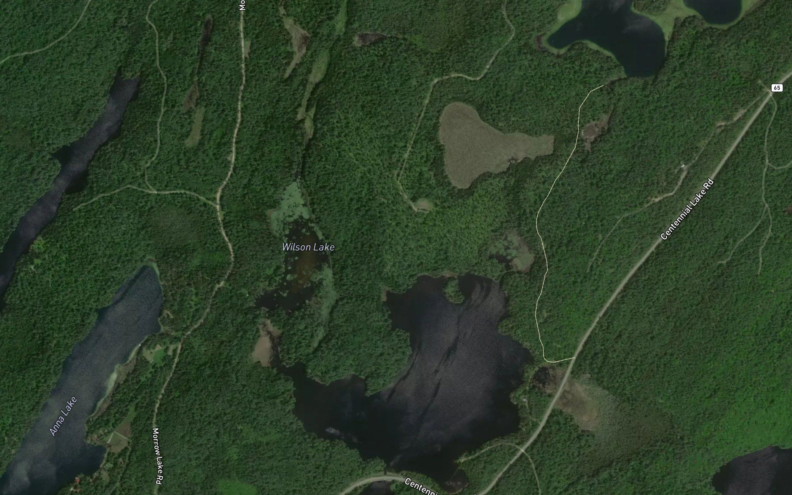 Wilson Lake