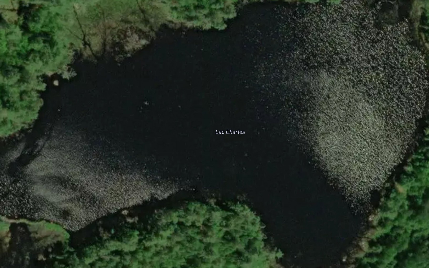Satellite map of the Lac Charles