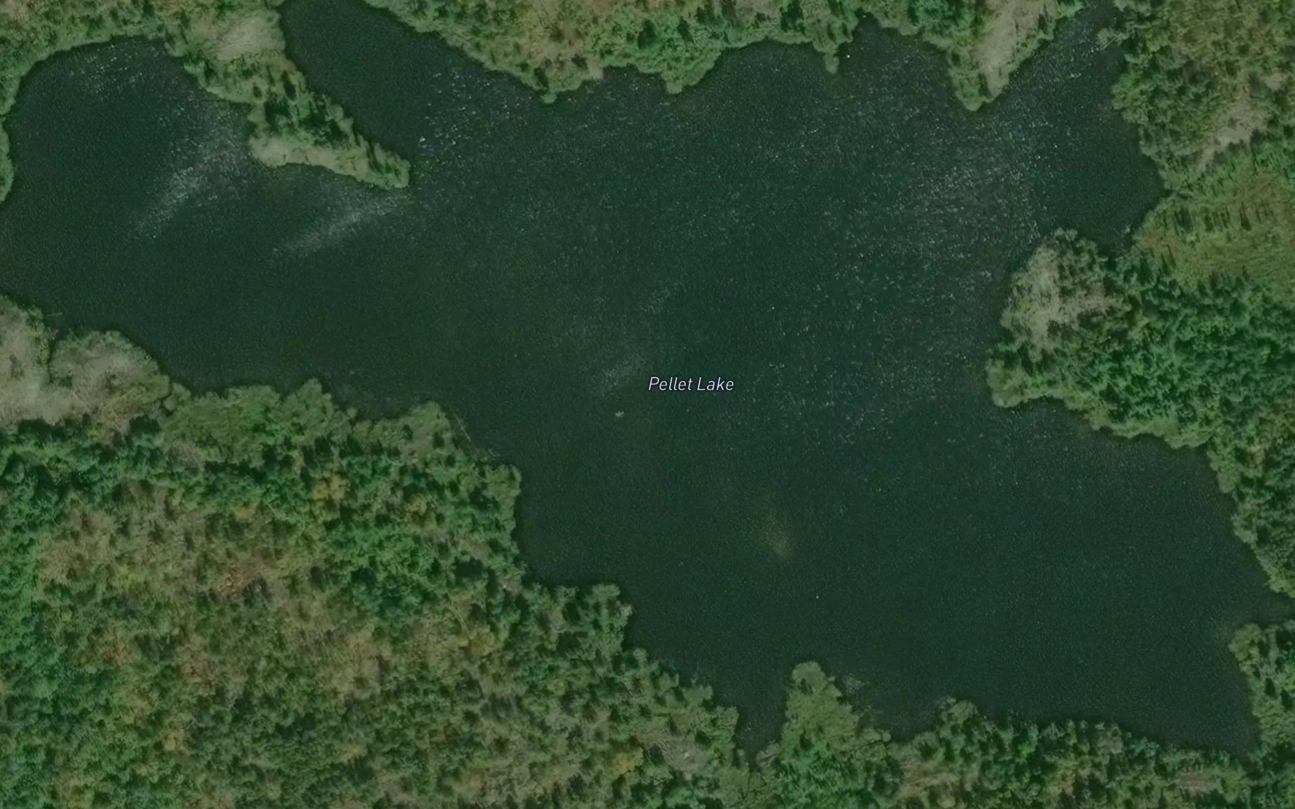Pellet Lake