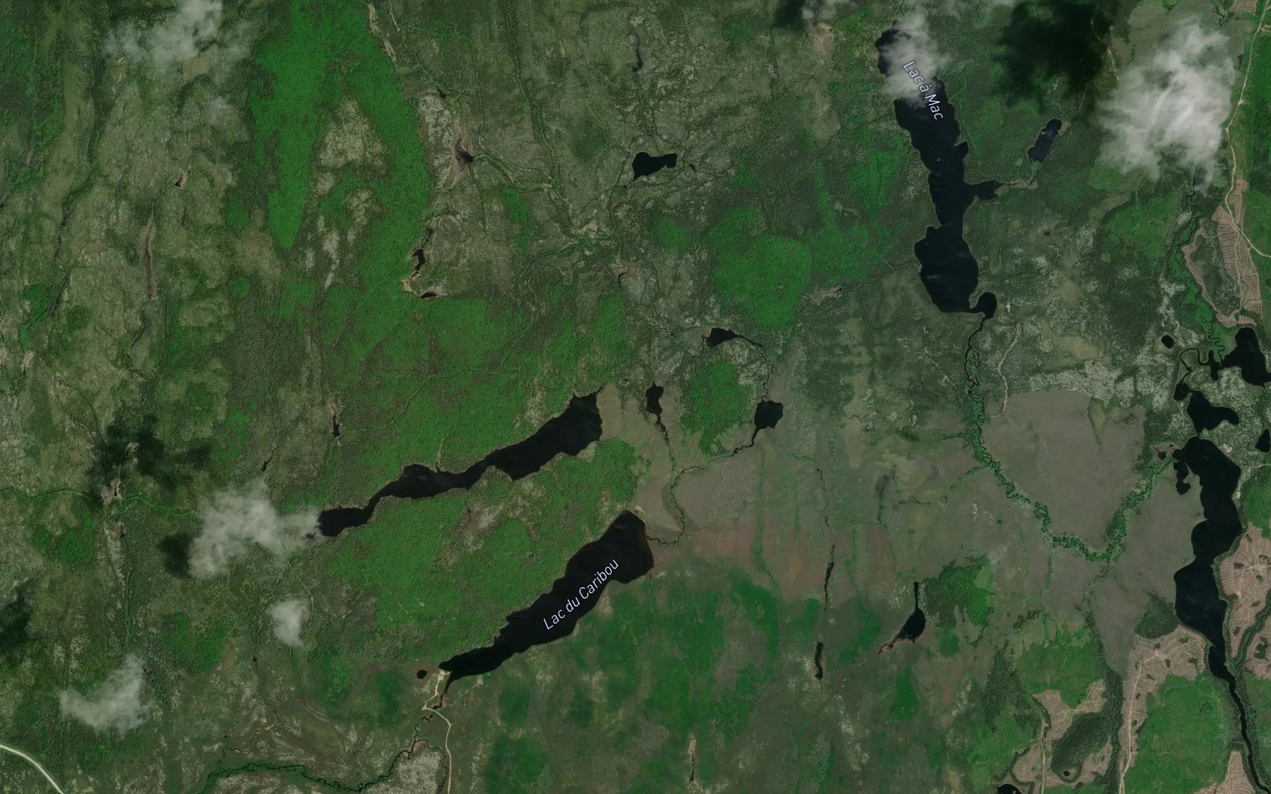 Satellite map of the Petit lac a Narcisse