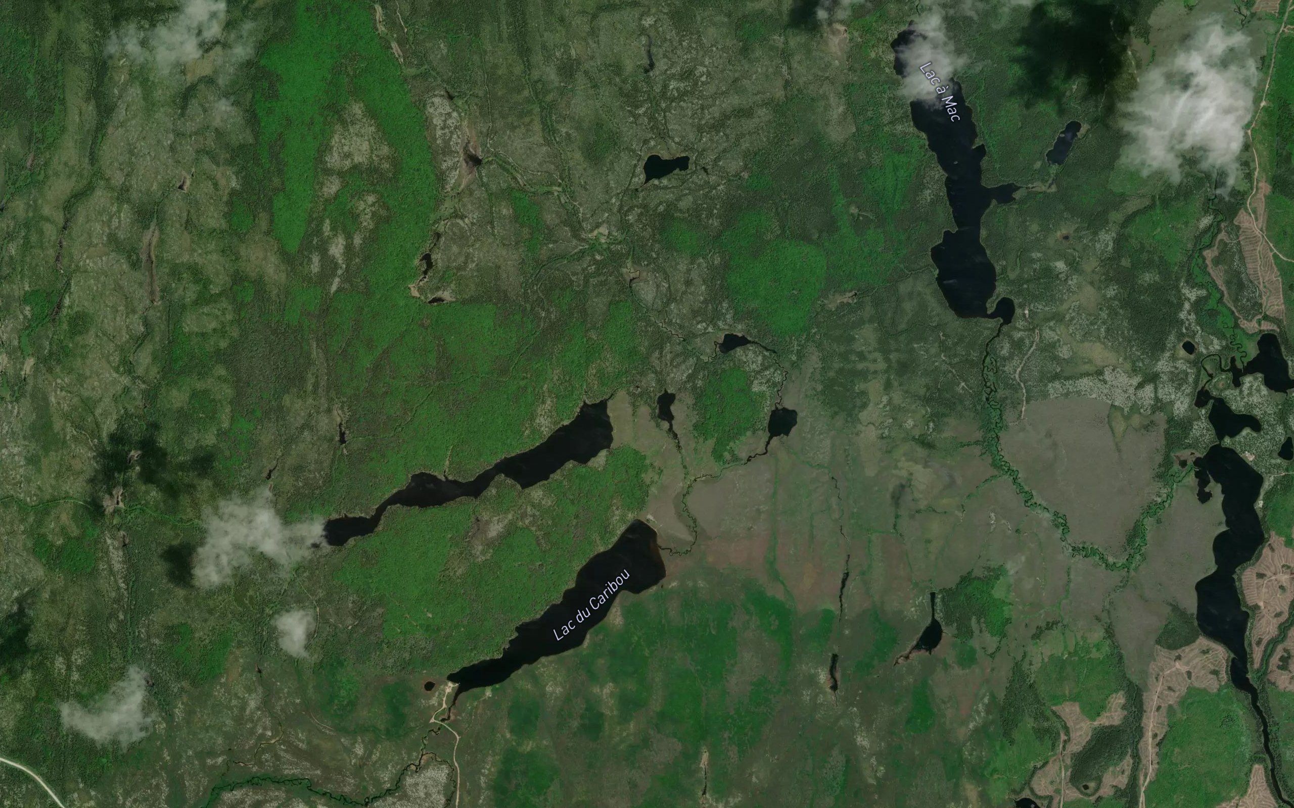 Petit lac a Narcisse