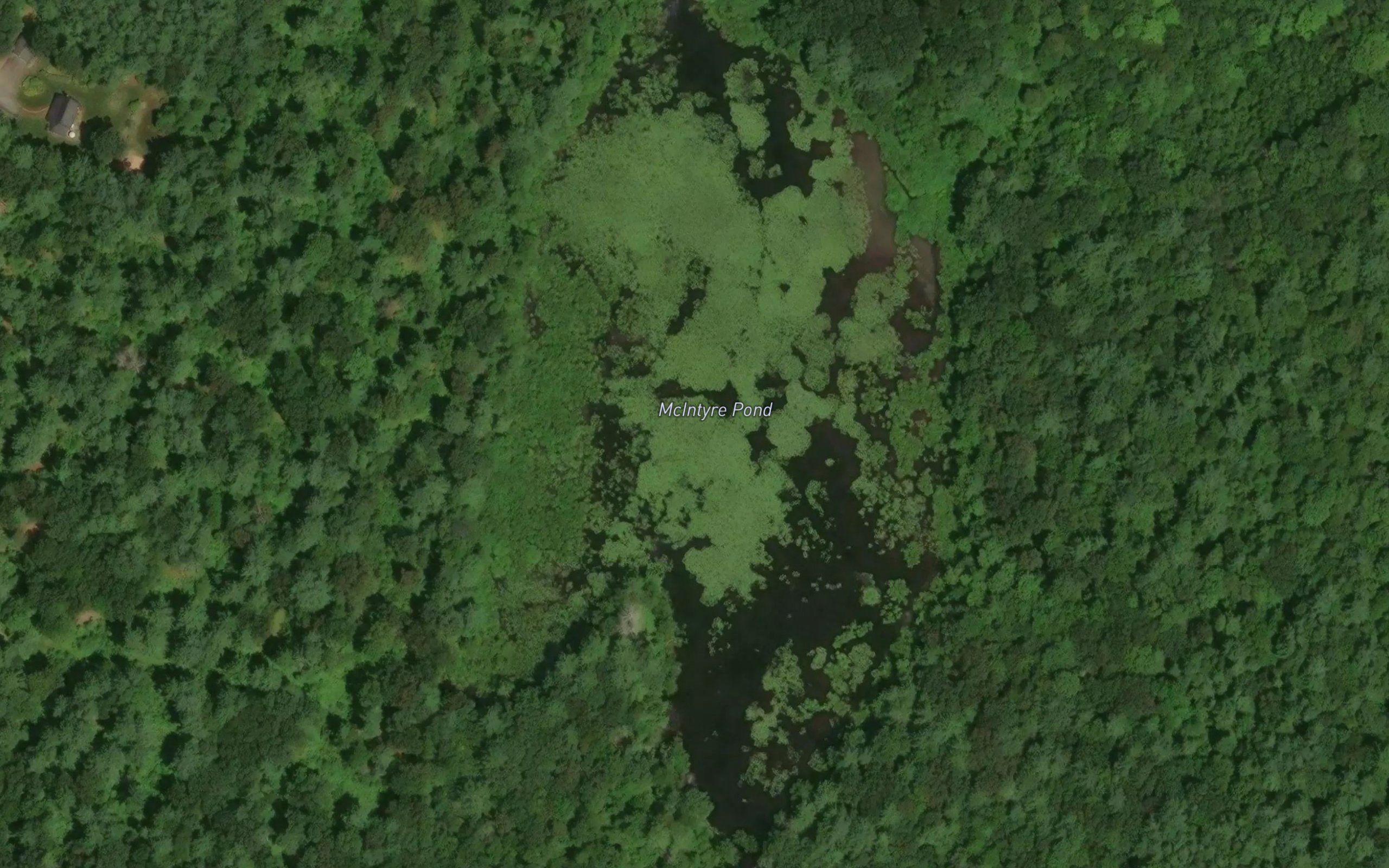 McIntyre Pond