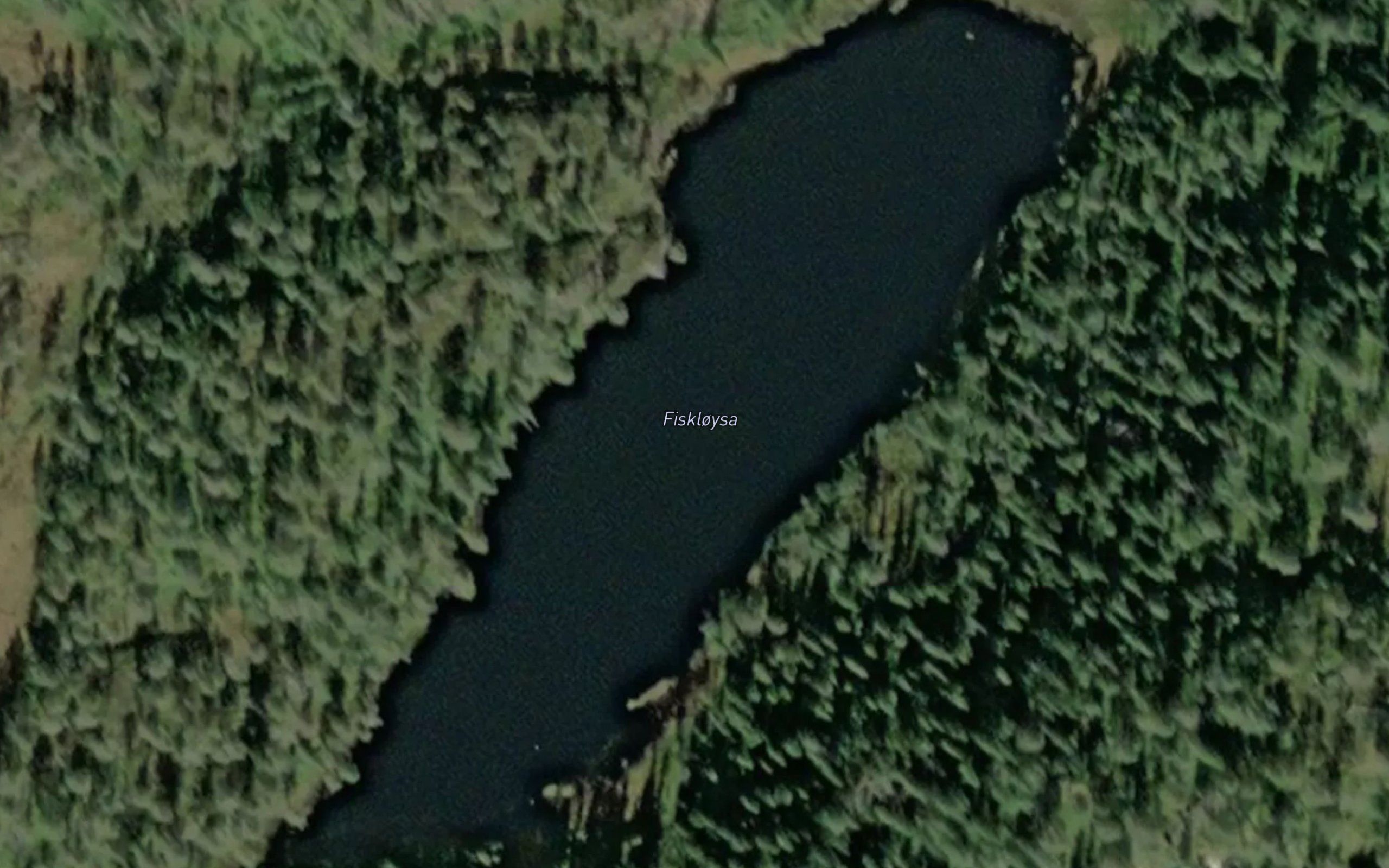 Fiskloystjonna
