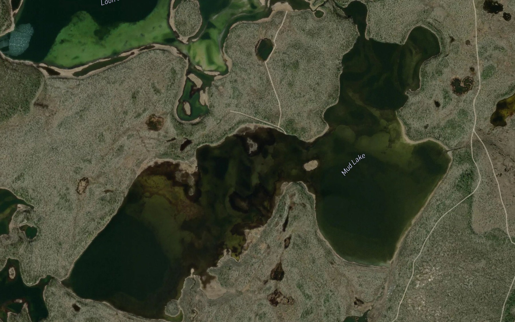 Satellite map of the Mud Lake