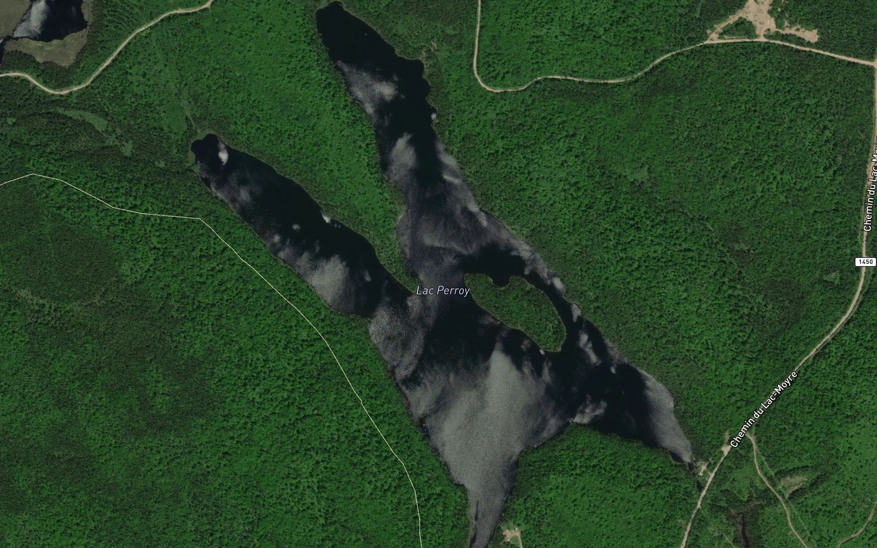 Satellite map of the Lac Perroy