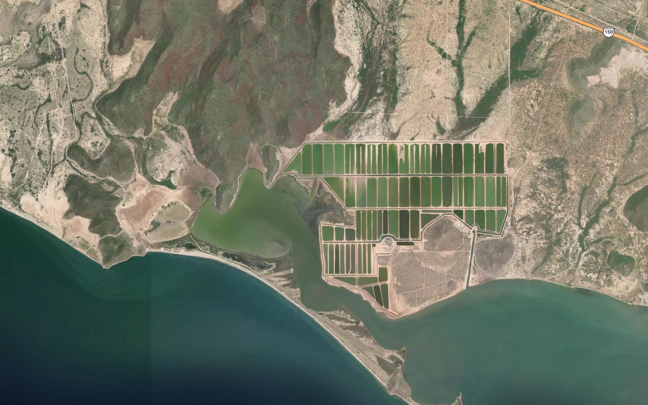 Estero del Bachoco