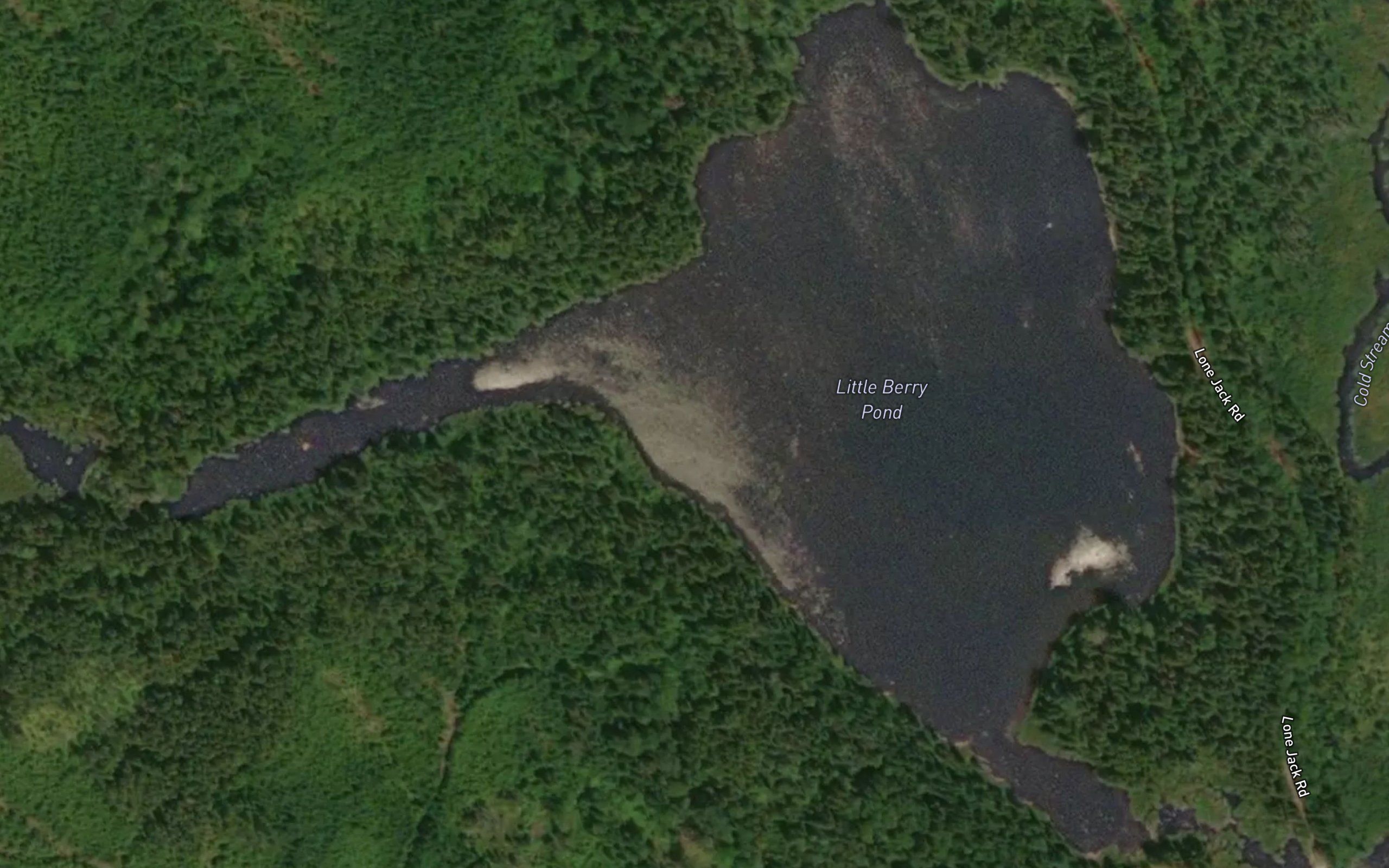 Little Berry Pond