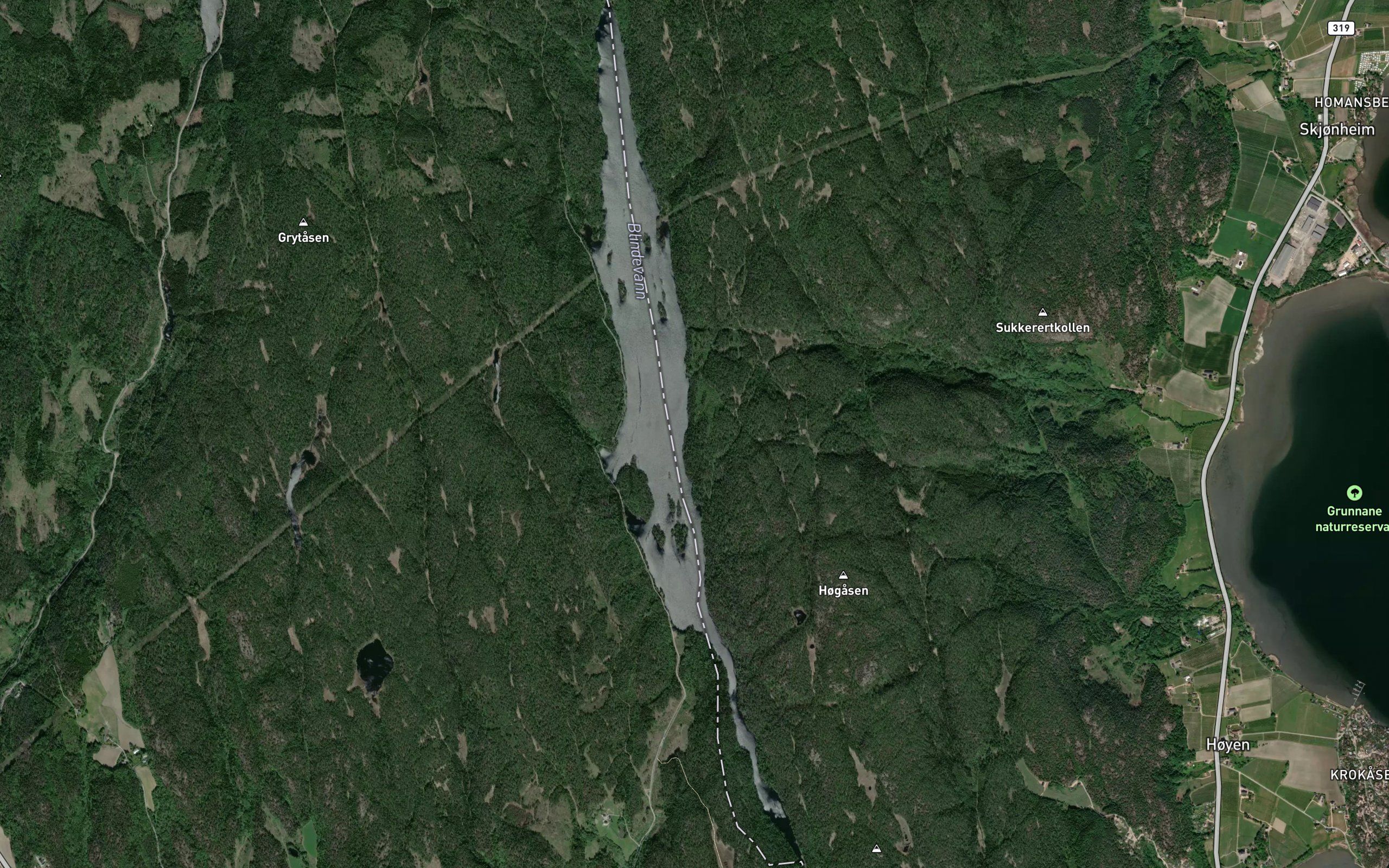 Blindevann
