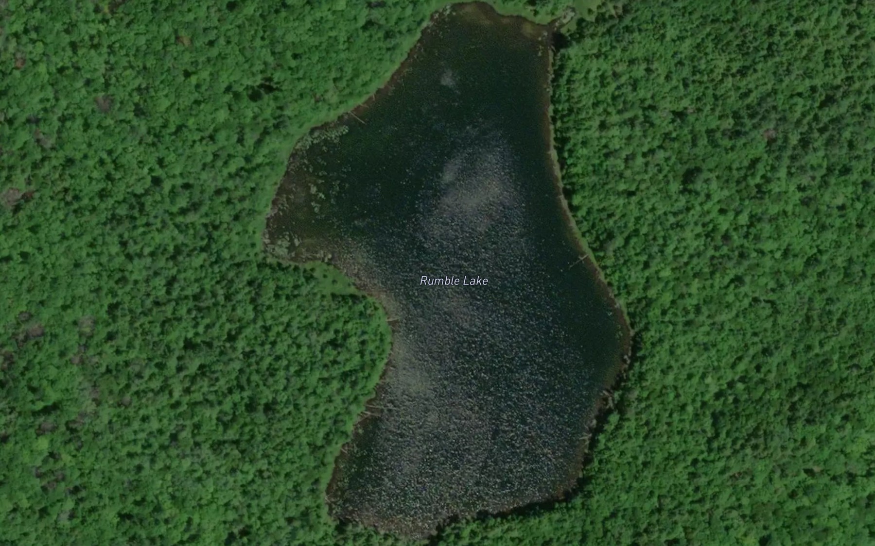Satellite map of the Rumble Lake