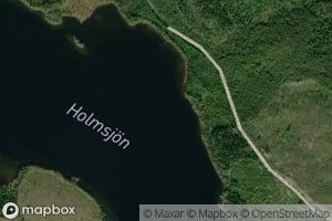 Holmsjon