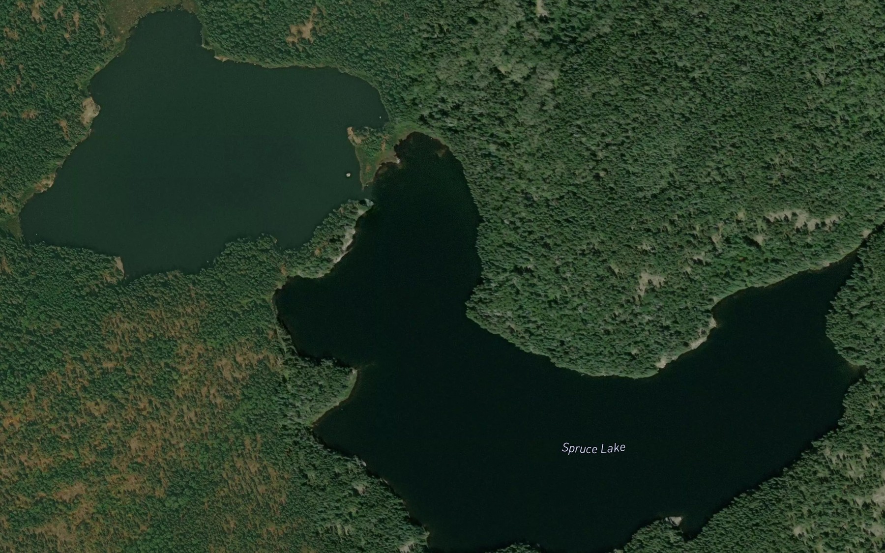 Satellite map of the Spruce Lake