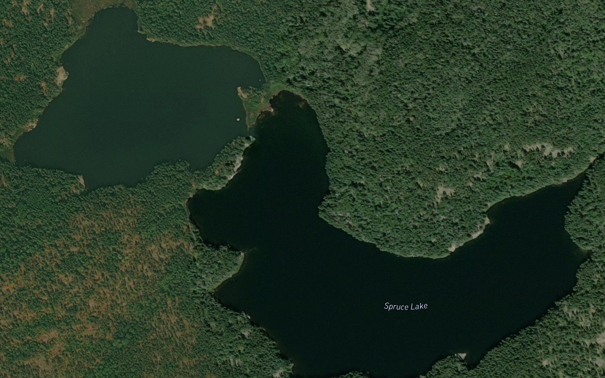 Spruce Lake