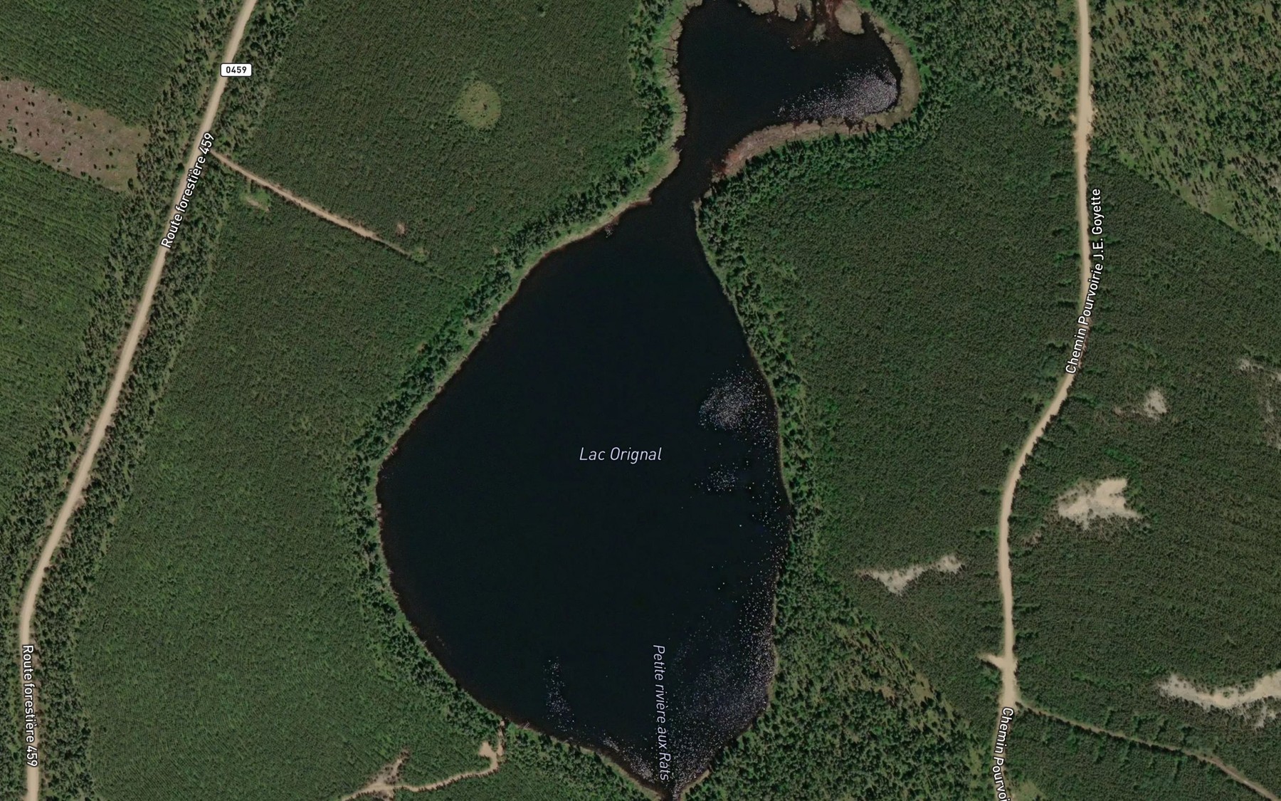 Satellite map of the Lac Orignal