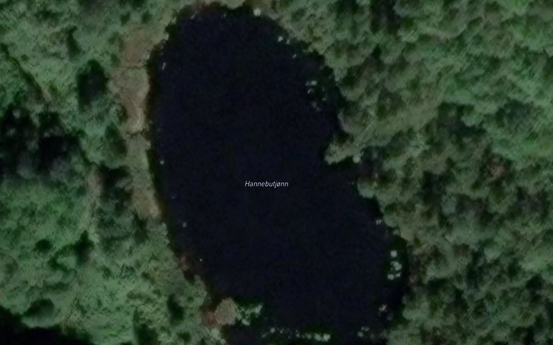 Satellite map of the Hannebutjonn