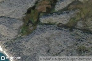 Newtonvika
