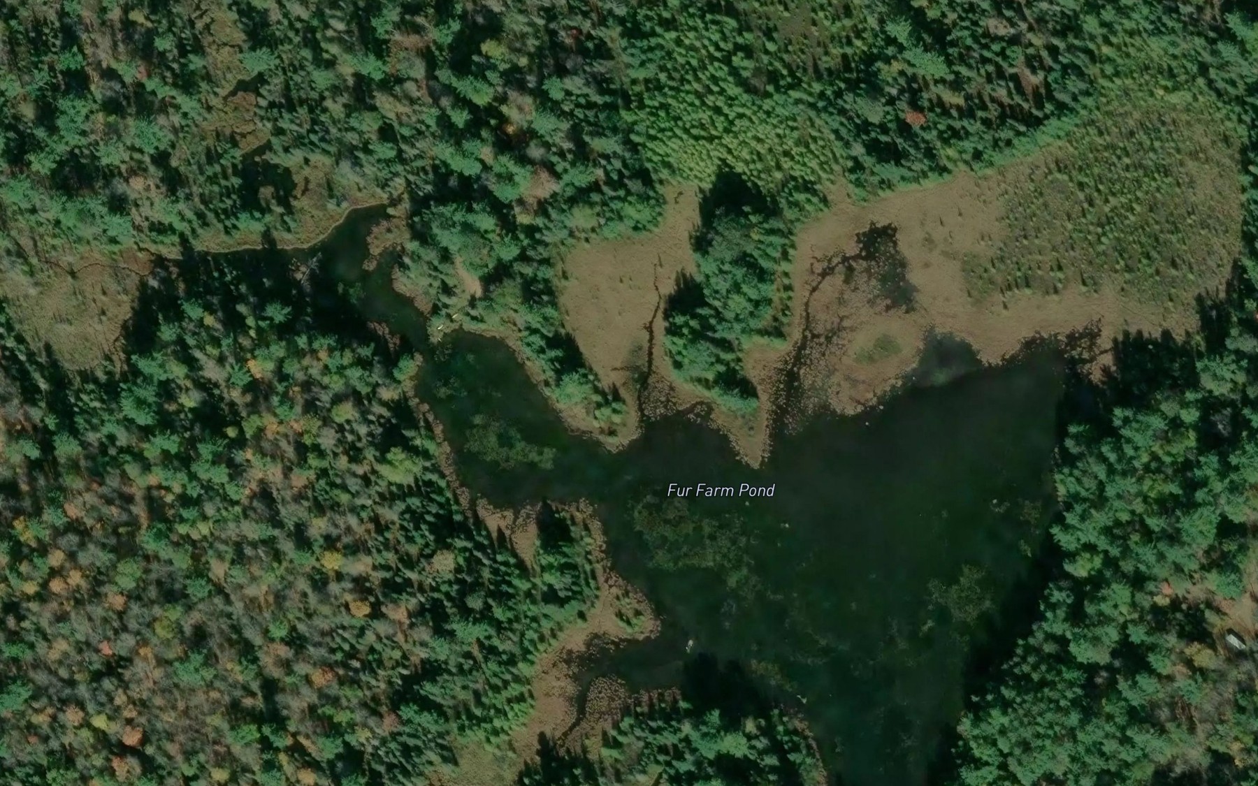 Satellite map of the Fur Farm Pond