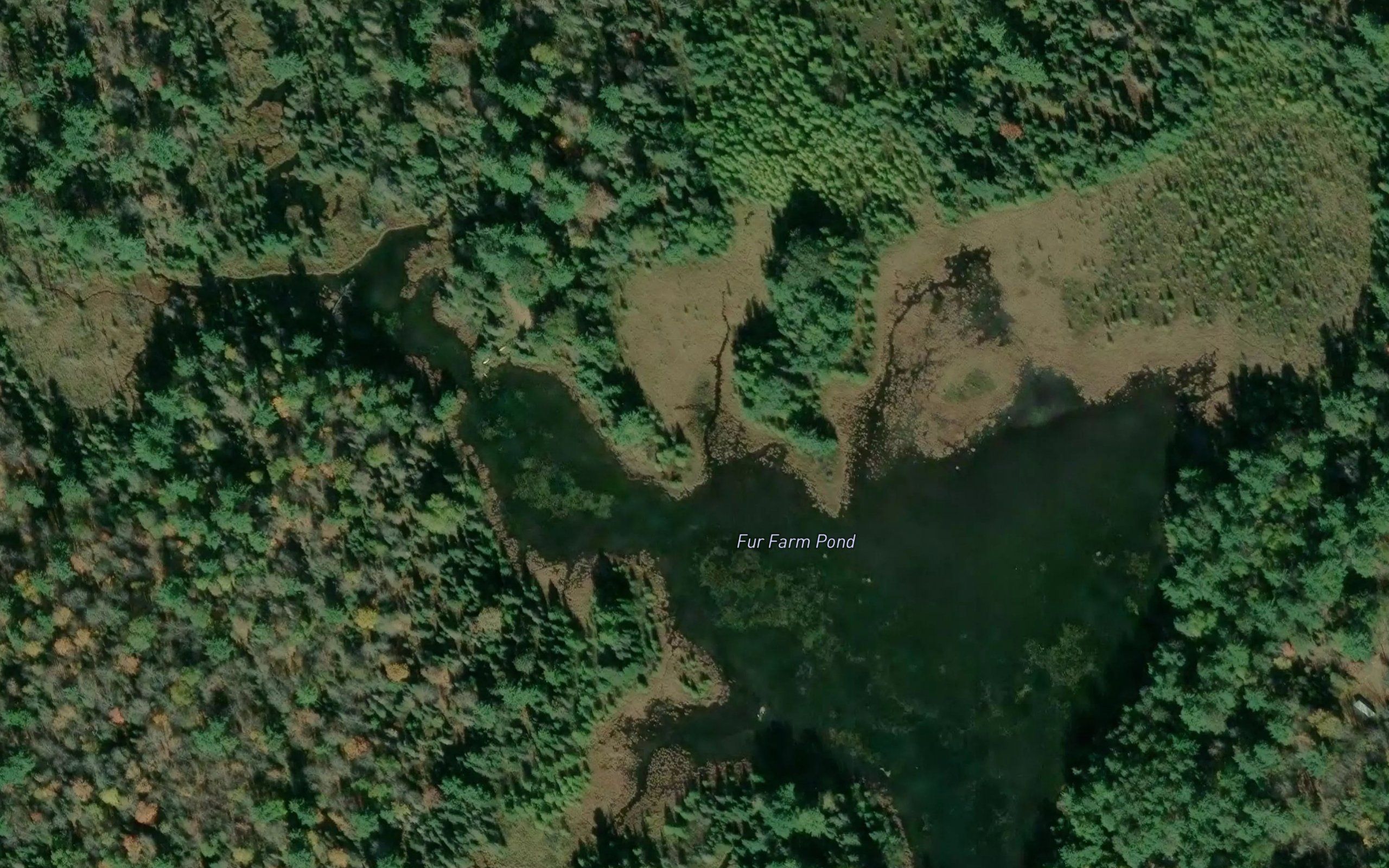 Fur Farm Pond