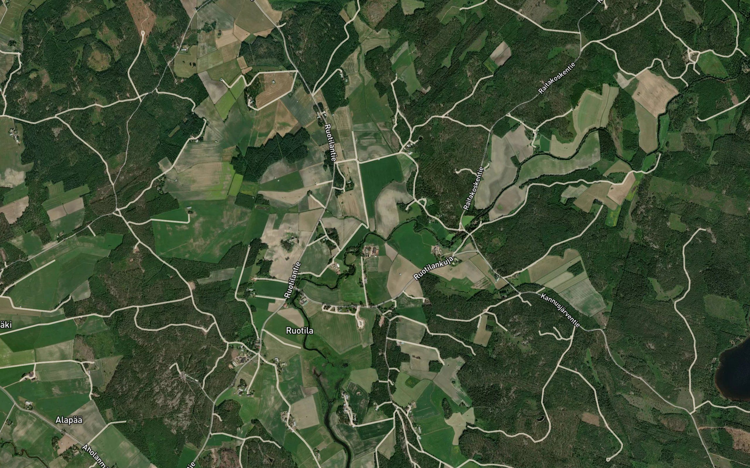 Savilamminoja