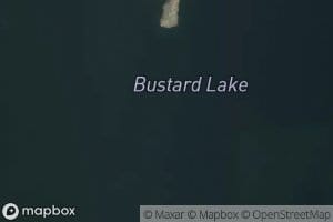 Bustard Lake