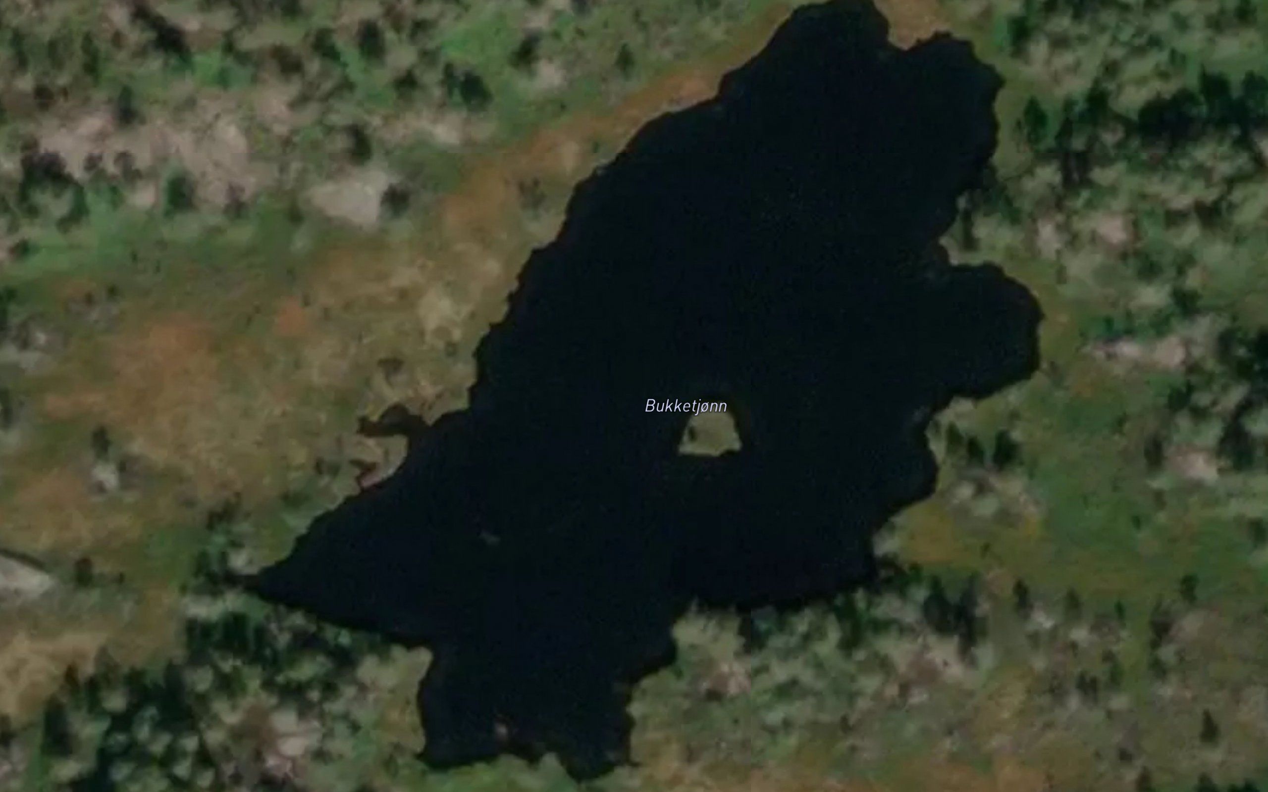 Bukketjonn