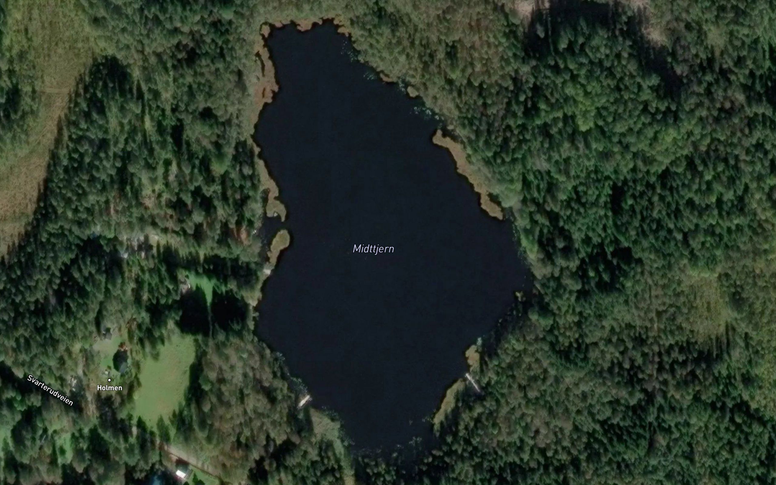 Midttjern