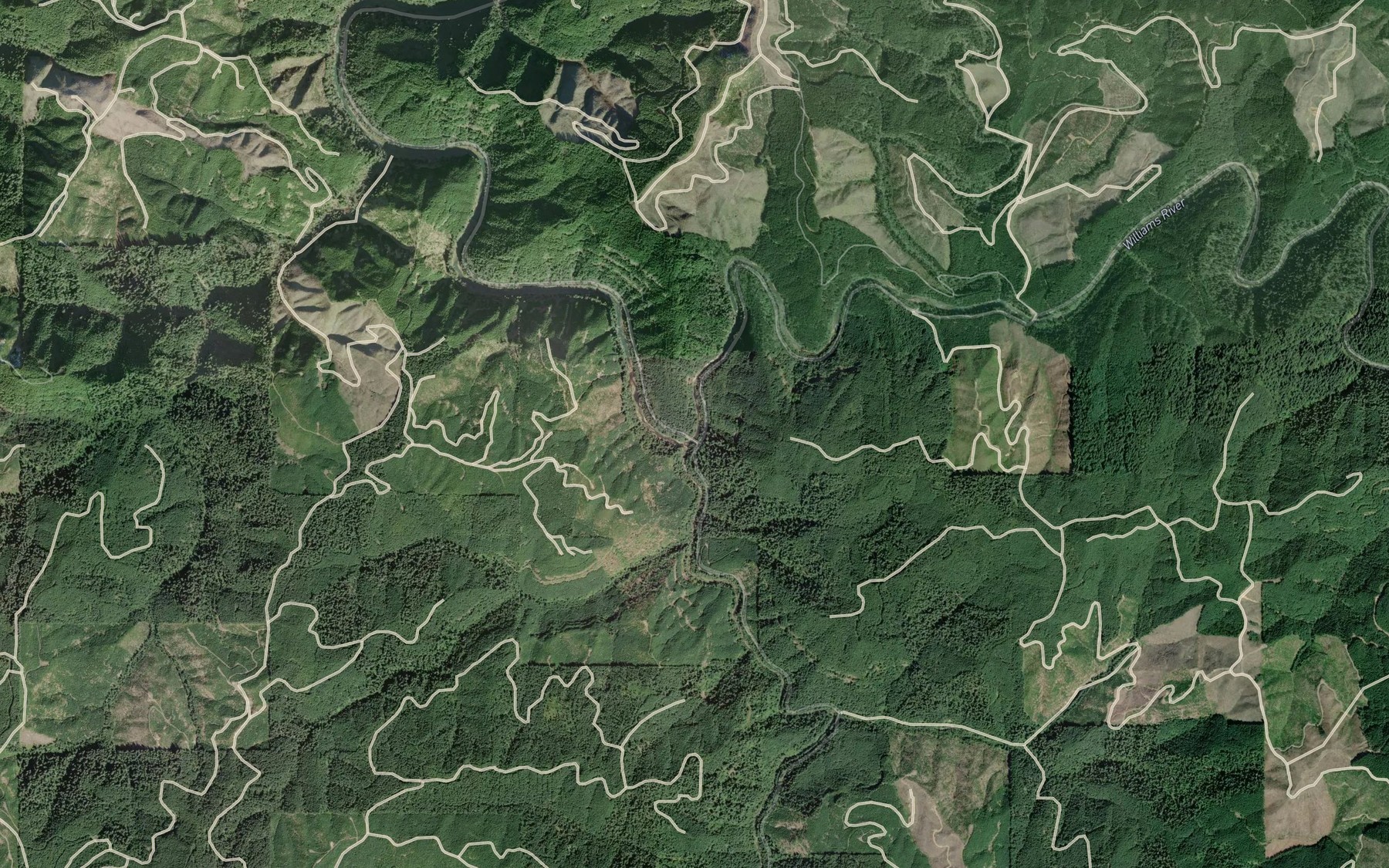 Satellite map of the Williams River
