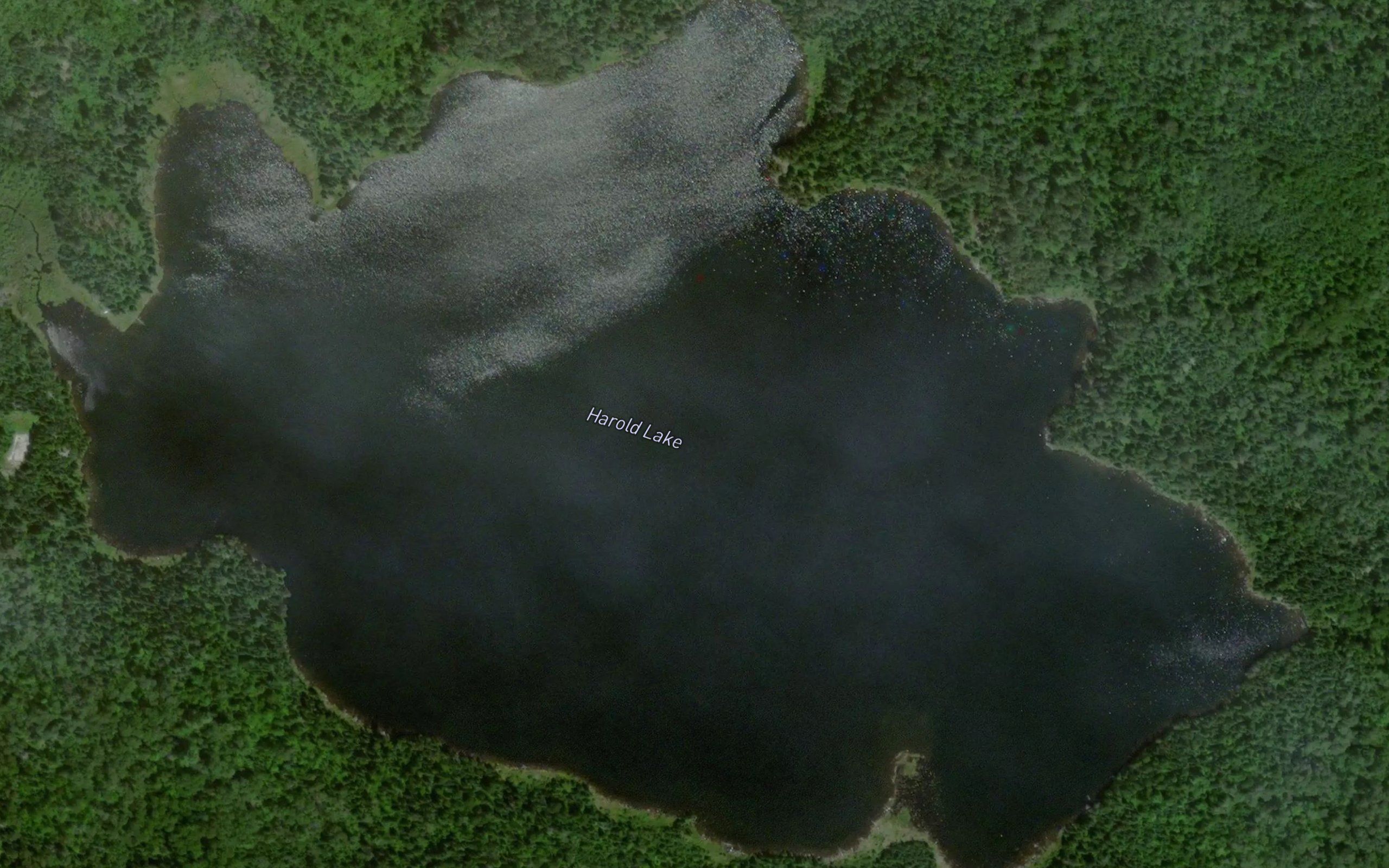 Harold Lake