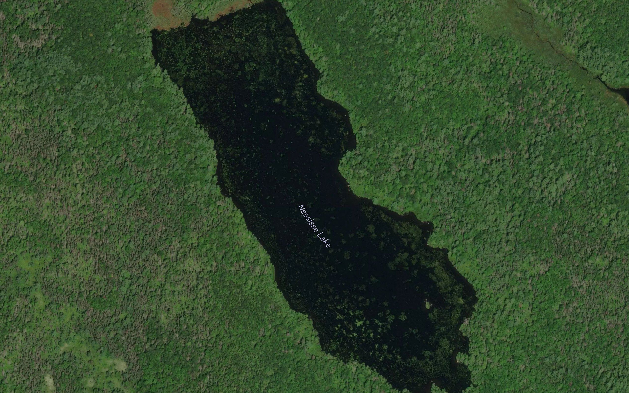 Nessisse Lake