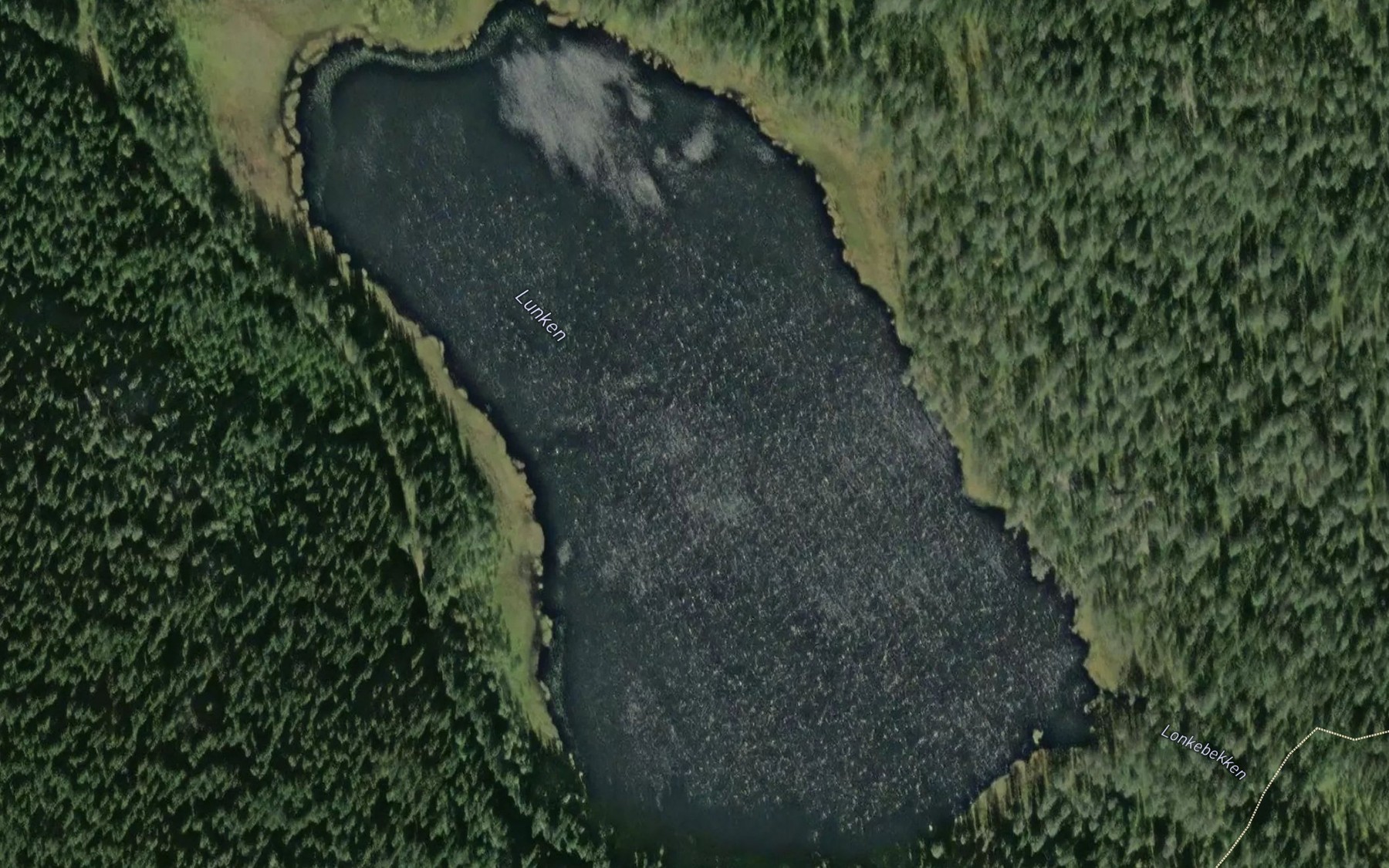 Satellite map of the Lunken