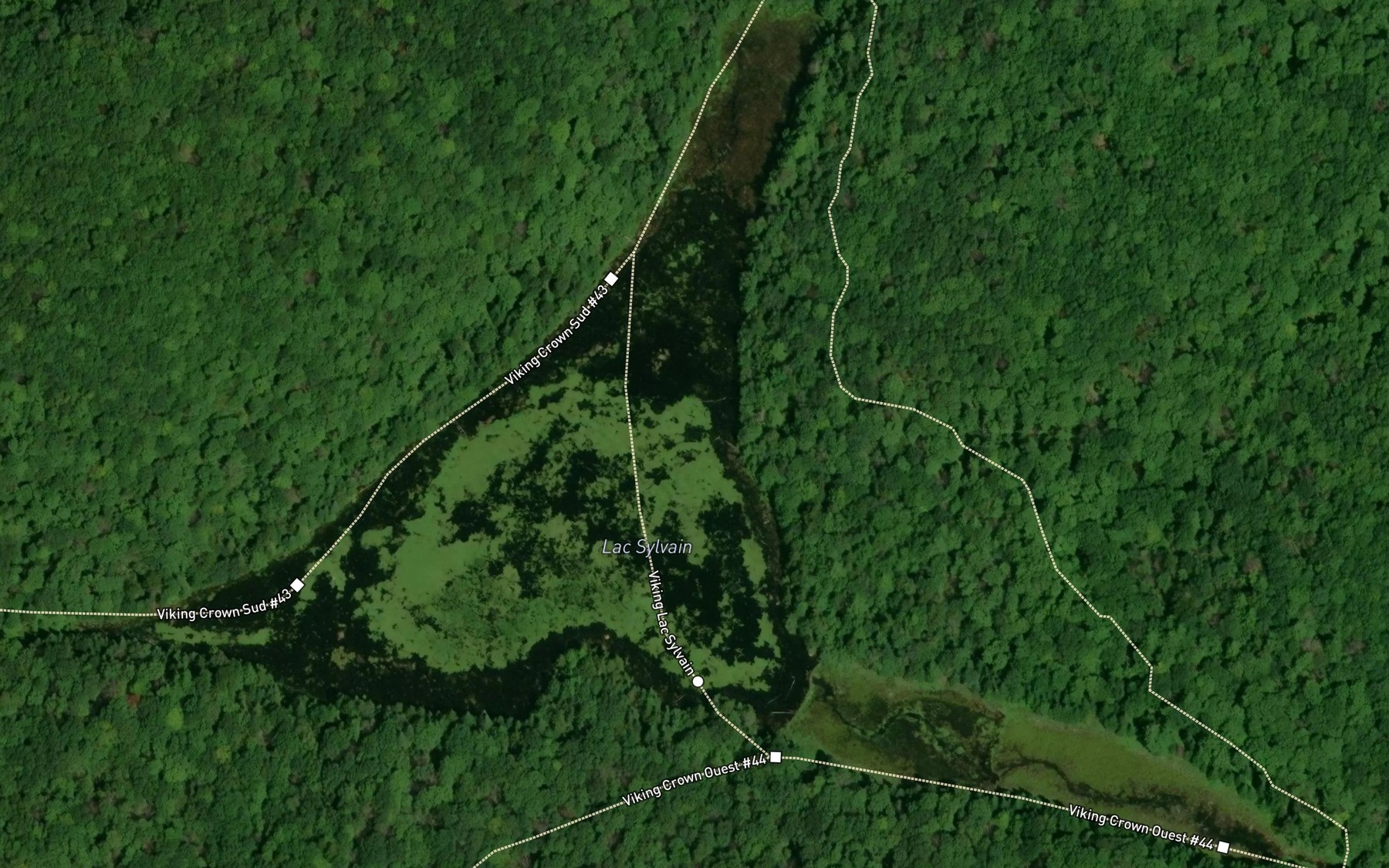 Satellite map of the Lac Sylvain